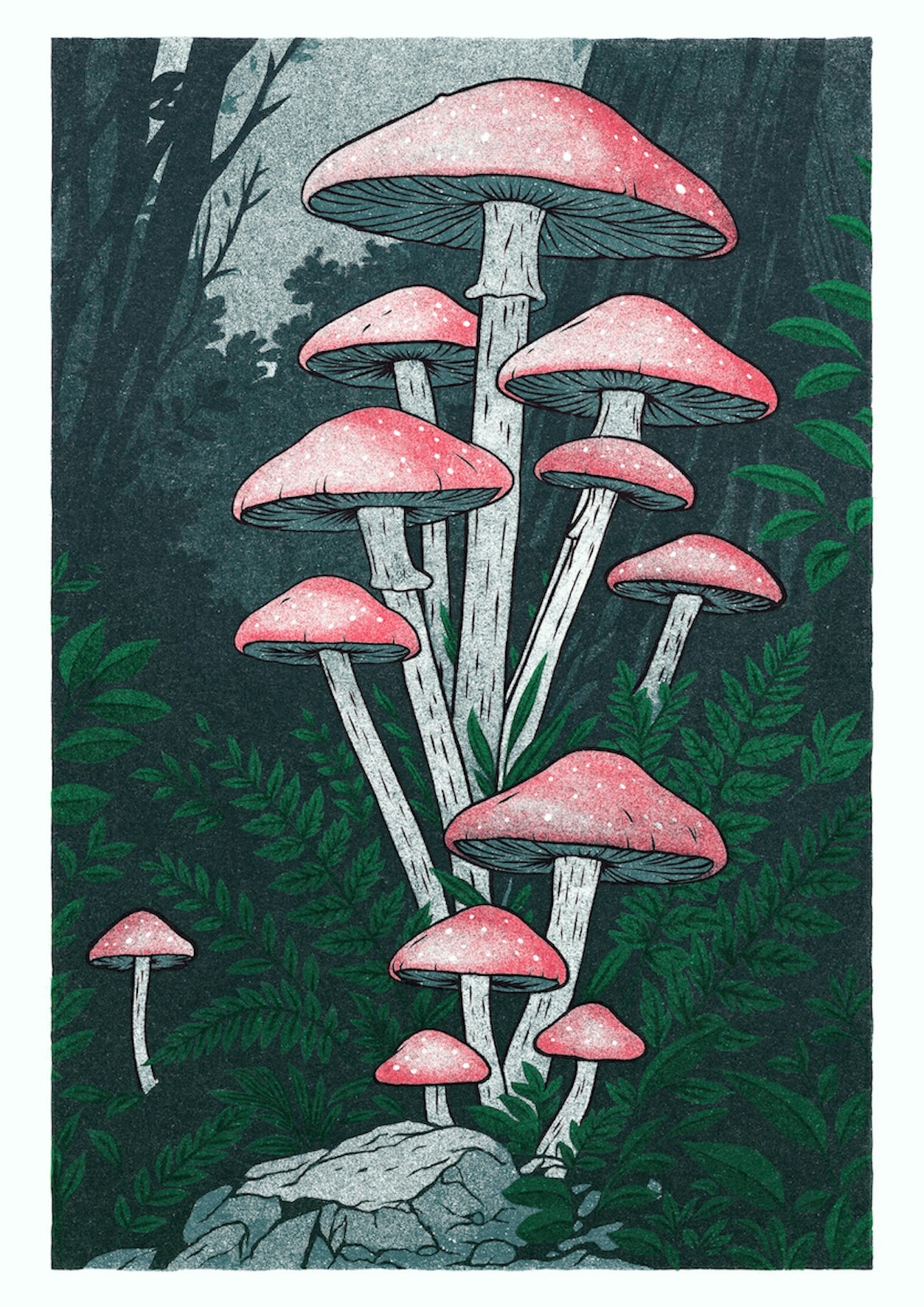 Fairytale Mushrooms