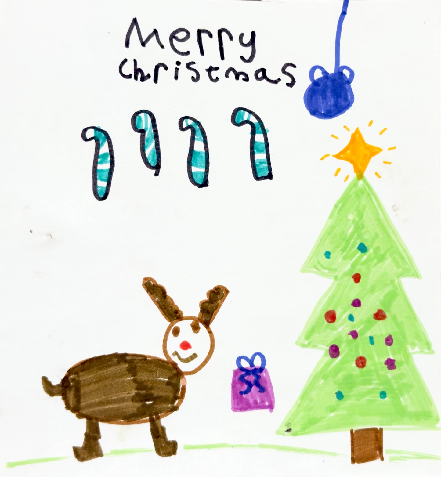 SALT Christmas Card Set 2025